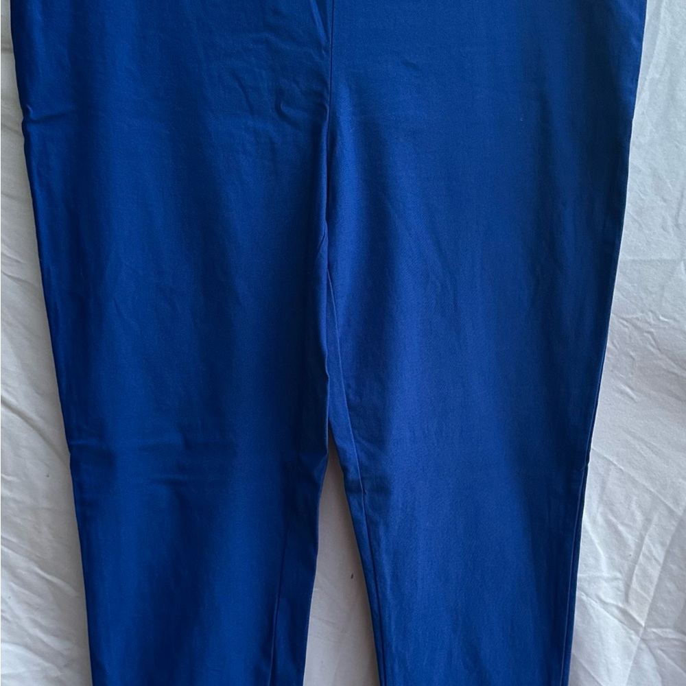 Vibrant Blue Pants